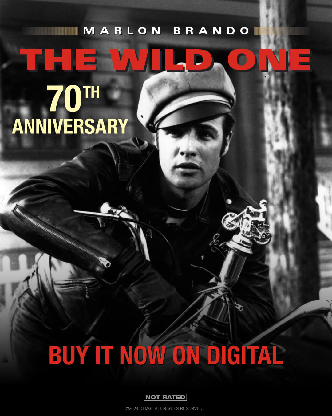 Anniversary Social Content