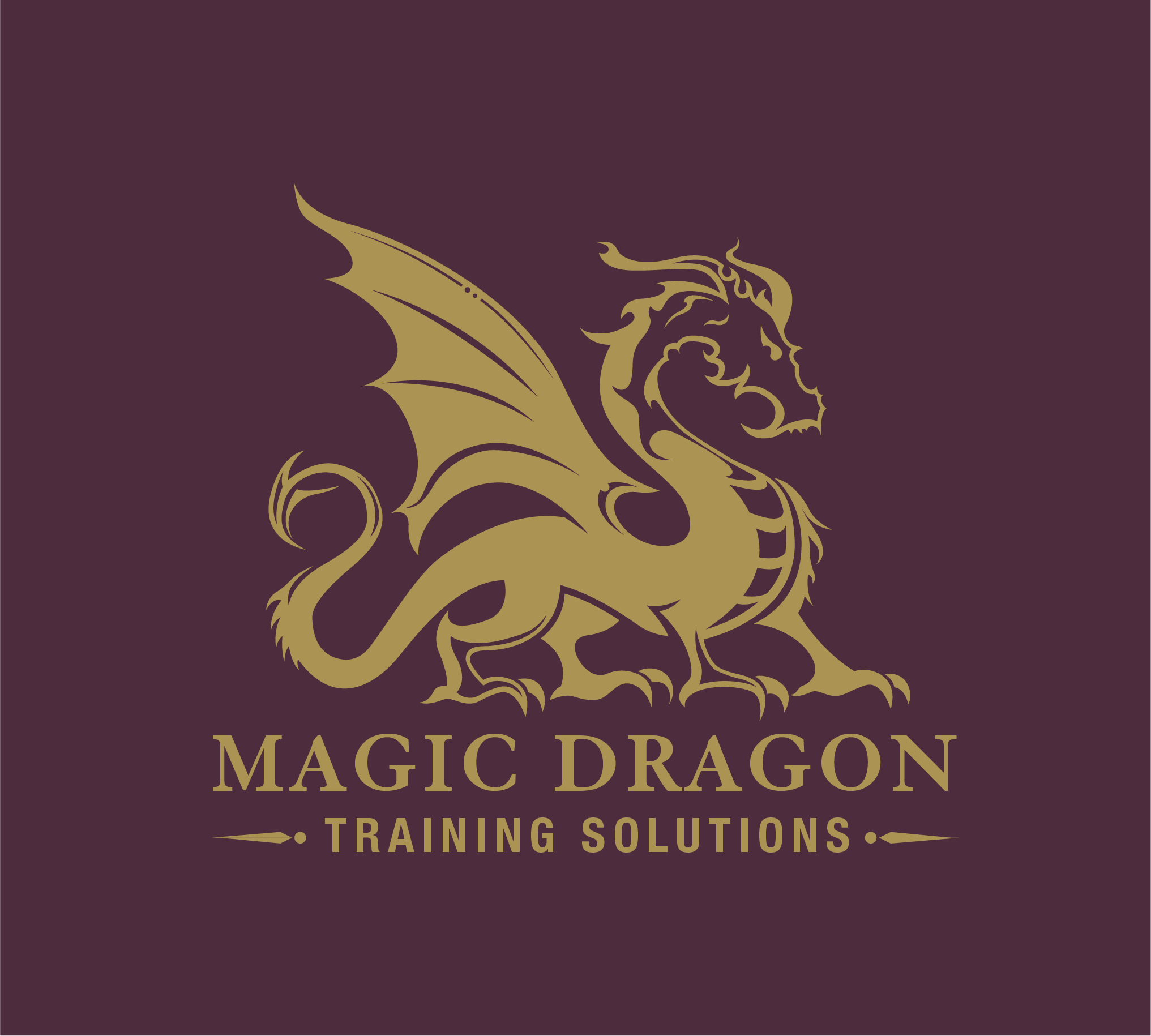 Magic Dragon Training Solutions